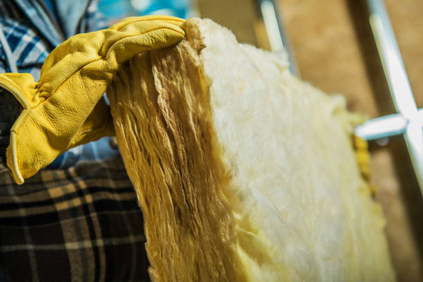 Best Residential Insulation in Madeira Beach, FL