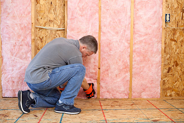 Best Insulation Installation Services in Madeira Beach, FL