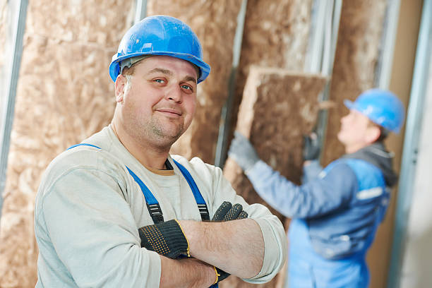 Best Insulation Installation Services in Madeira Beach, FL