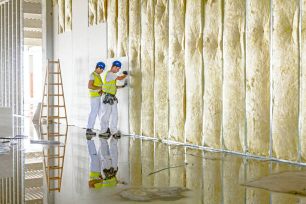 Best Types of Insulation in Madeira Beach, FL
